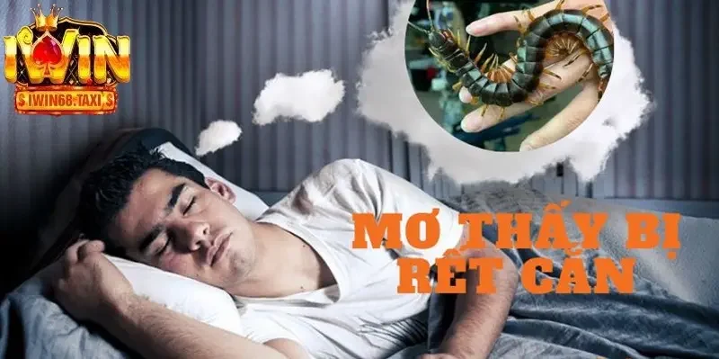 Mơ Thấy Rết Điểm Báo Lành Hay Dữ Và Đánh Lô Để Bao Nhiêu? 3 Lý giải hình ảnh thấy con rết bò xung quanh mình