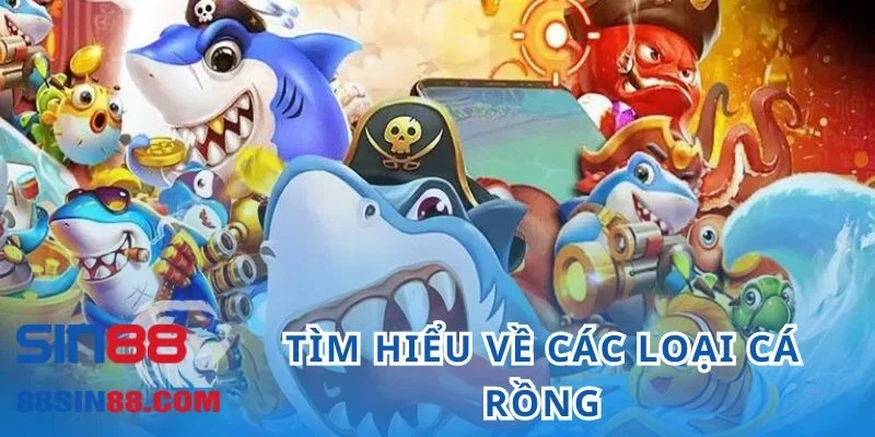 Khám Phá Game Bắn Cá Xu Vàng 777 Hấp Dẫn Nhất 2024 3 Tìm hiểu về các loại cá rồng
