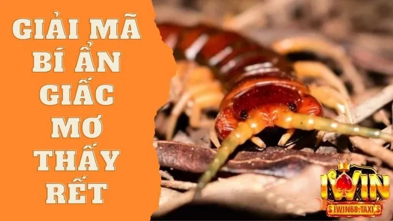 Mơ Thấy Rết Điểm Báo Lành Hay Dữ Và Đánh Lô Để Bao Nhiêu? 2 Ý nghĩa hình ảnh chủ mộng bị rết đuổi tấn công