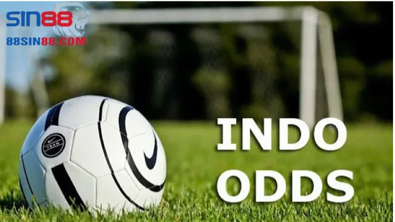 Odds là gì? Kiến thức cơ bản khi tham gia cá cược tại Sin88 3 Hướng dẫn cách tính tỷ lệ kèo Indonesia